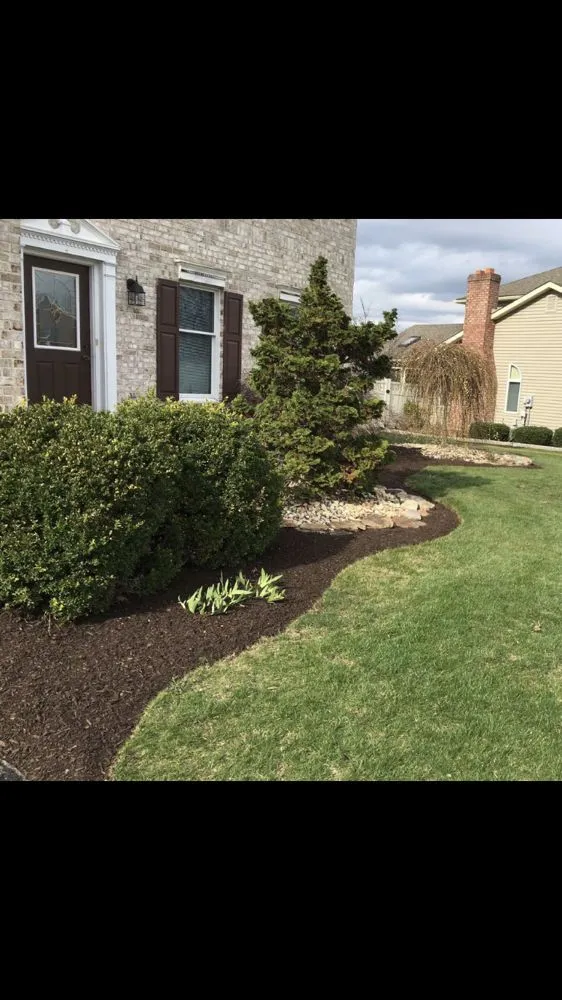 Reliable yard cleanup service for beautiful yards in Northampton, PA by NB LawnCare & Landscaping