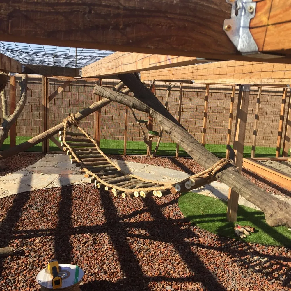 Trusted yard maintenance in Sacramento, CA by NBD Construction