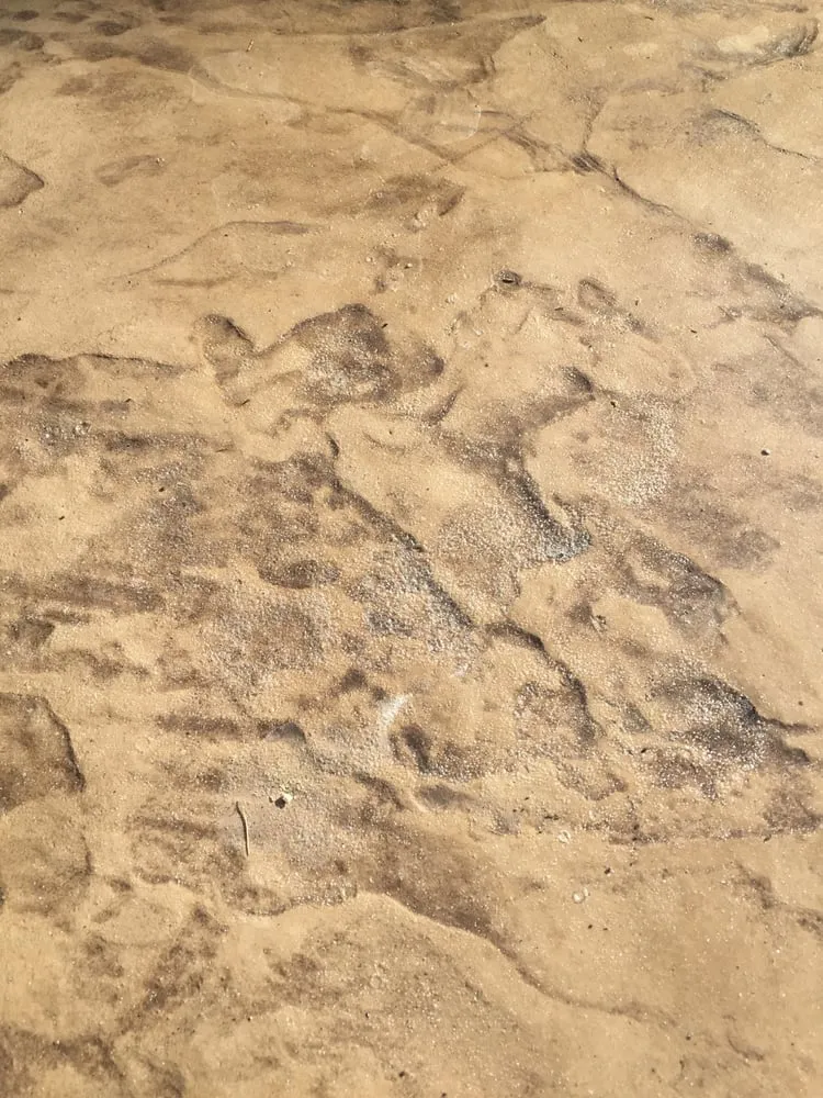 Top-rated landscape installation in Sacramento, CA - NBD Construction