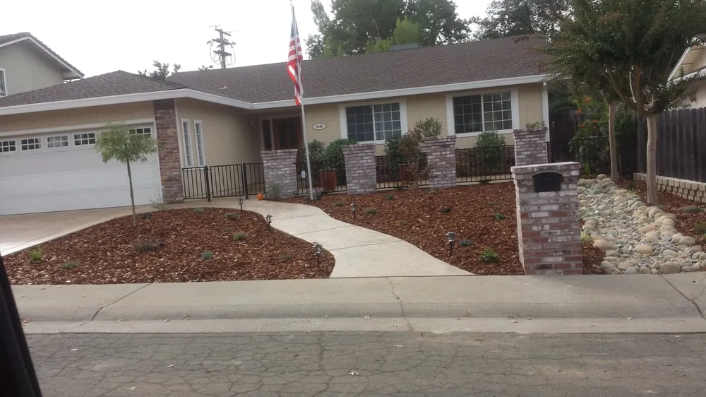 Expert yard cleanup service in Sacramento, CA - NBD Construction