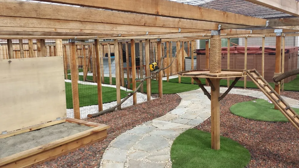 Local yard cleanup service in Sacramento, CA - NBD Construction