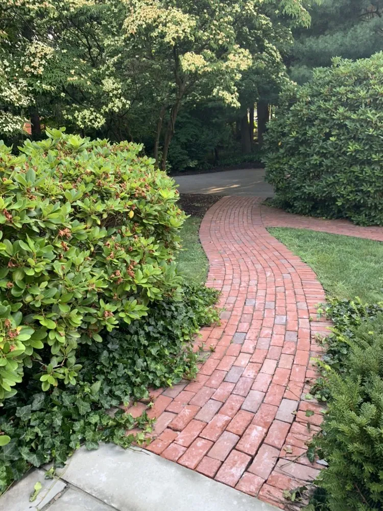 Trusted yard cleanup service in Malden, MA by Nbs general contractos