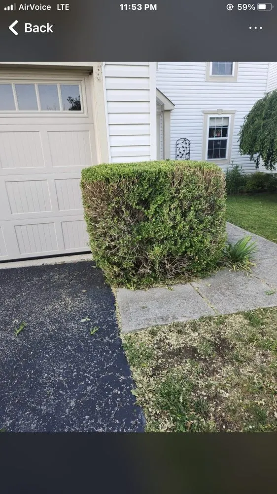 Local yard maintenance near you in Springfield, OH by N&B’S Property Maintenance