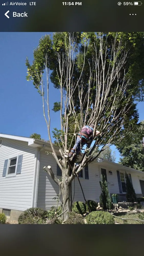 Custom landscaping services for homes across Springfield, OH - N&B’S Property Maintenance