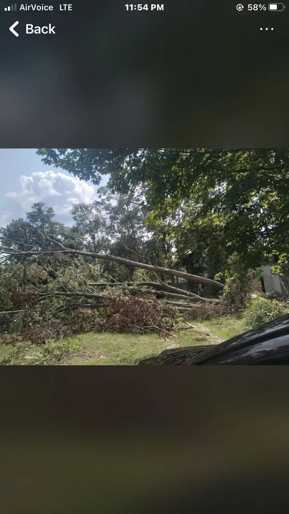 Reliable landscape design near you across Springfield, OH - N&B’S Property Maintenance