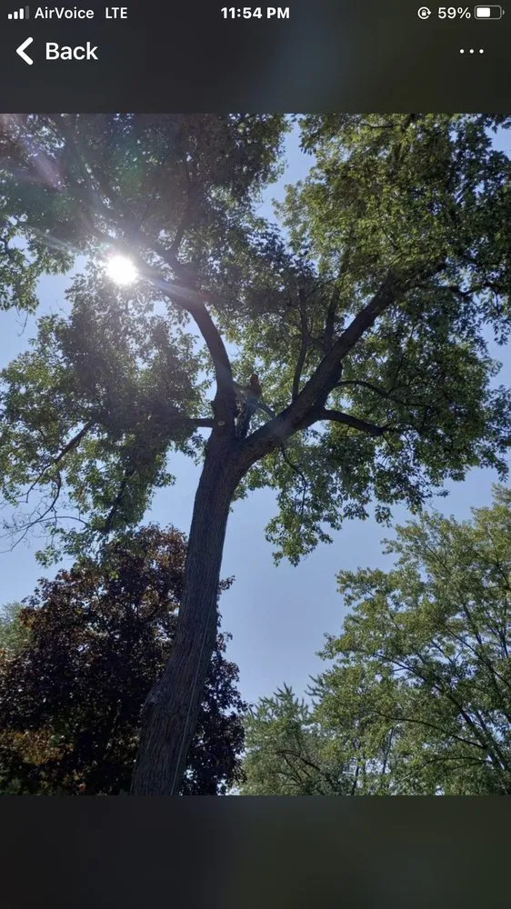 Reliable residential landscaping for residential properties in Springfield, OH by N&B’S Property Maintenance