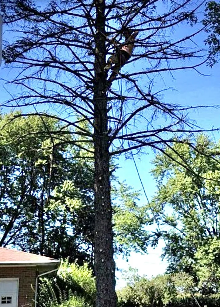 Expert garden landscaping for homes in Springfield, OH by N&B’S Property Maintenance