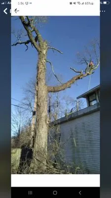 N&B’S Property Maintenance Logo