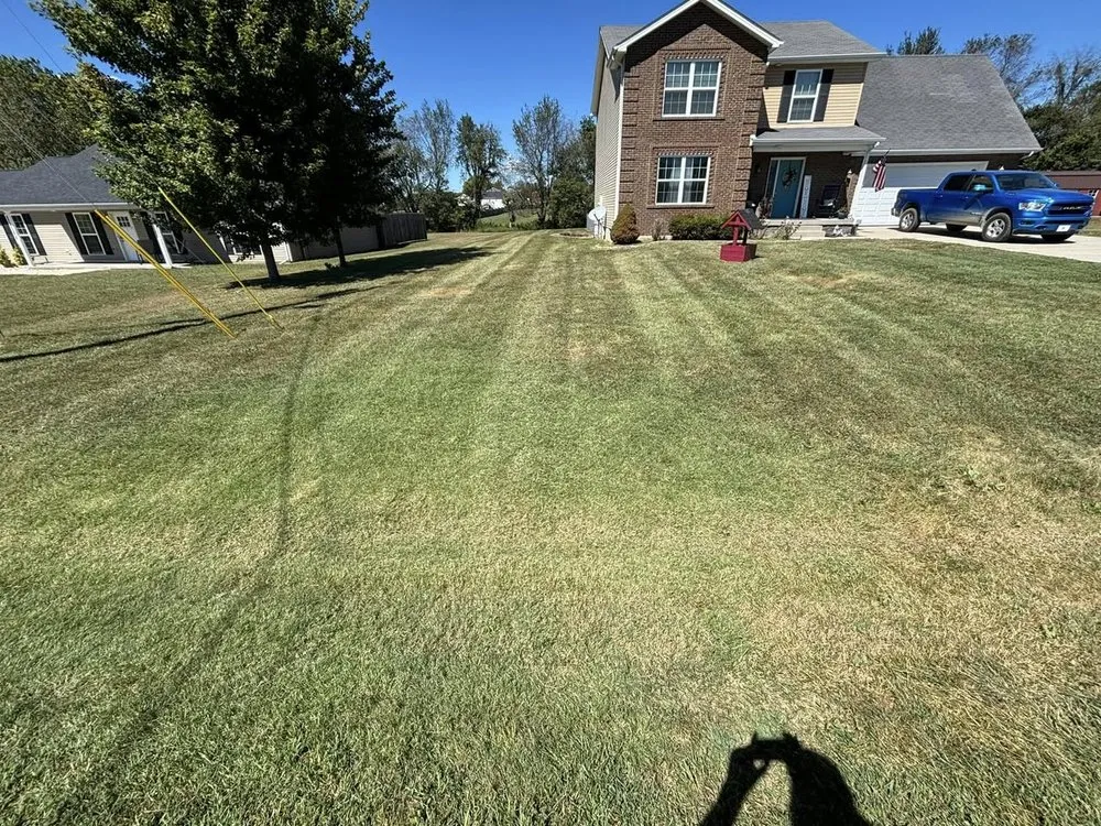 Custom landscaping services near you across Cecilia, KY - NBS Yard Works