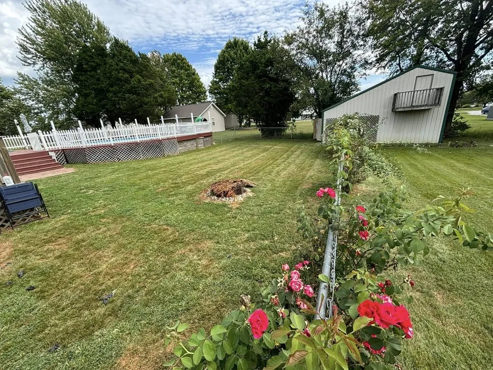 Affordable landscaping services in Cecilia, KY by NBS Yard Works