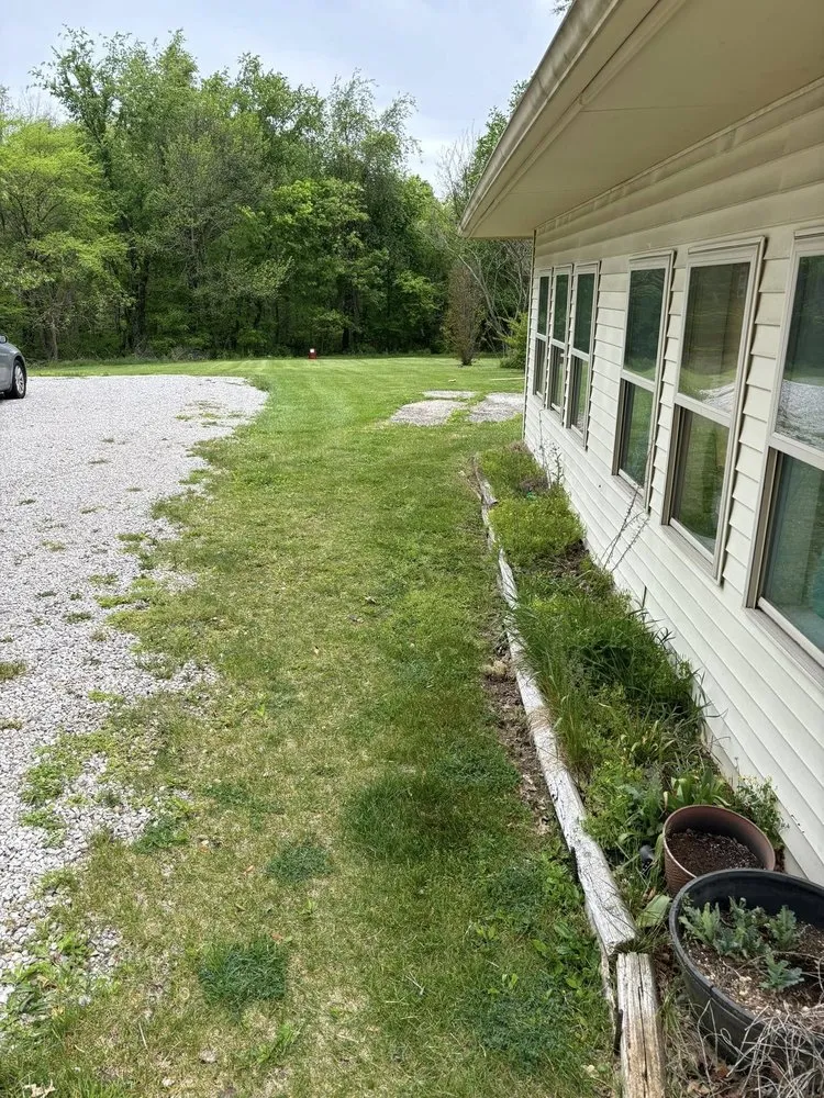 Affordable yard cleanup service experts serving Cecilia, KY - NBS Yard Works