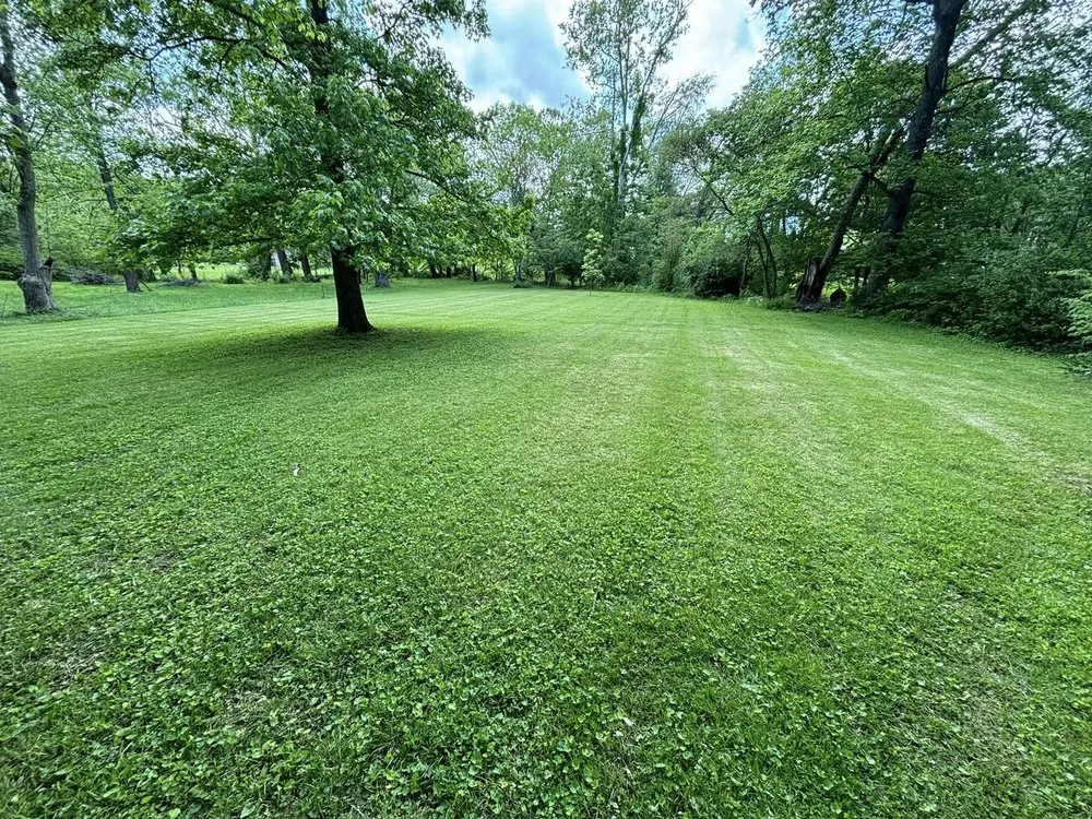 Affordable residential landscaping experts serving Cecilia, KY - NBS Yard Works