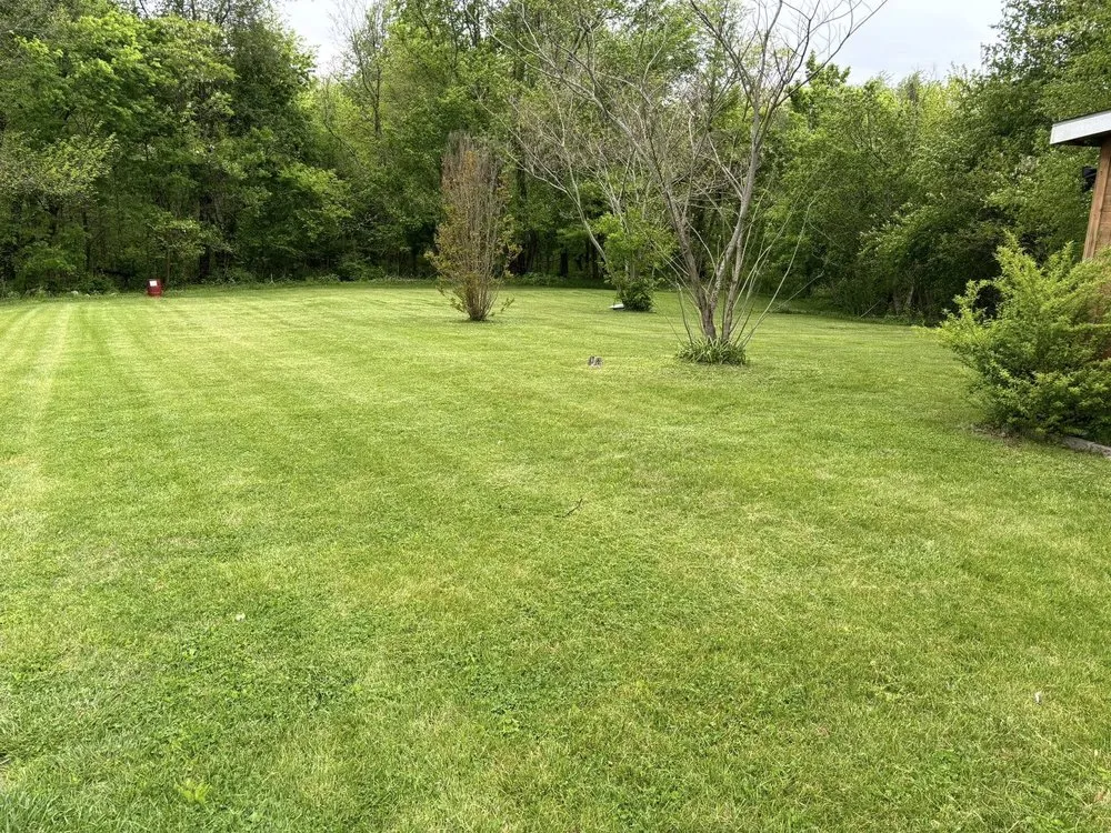 Reliable landscaping services for homes in Cecilia, KY by NBS Yard Works