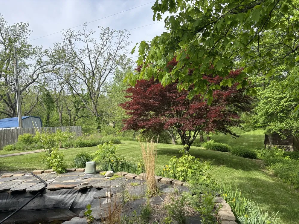 Reliable lawn mowing service experts serving Cecilia, KY - NBS Yard Works