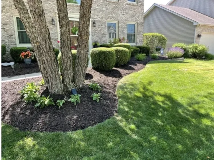 Professional garden landscaping in New Braunfels, TX by NBTX Haul Off