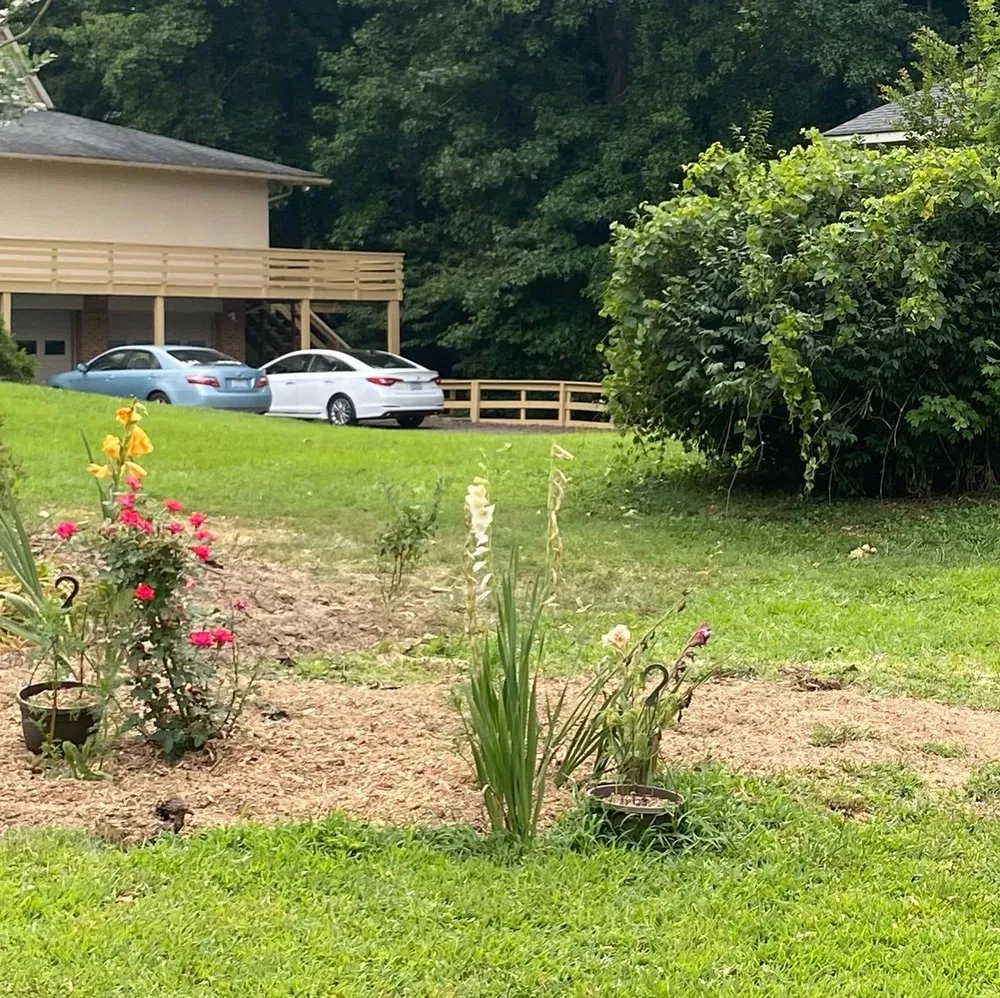 Affordable yard cleanup service for beautiful yards across Tobaccoville, NC - NC Dirtworks