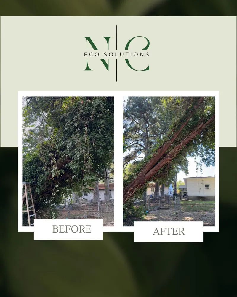 Professional yard cleanup service for residential properties in Wilson, NC by NC Eco Solutions