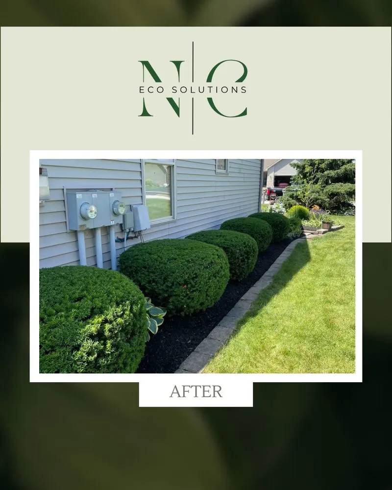 Expert outdoor landscaping in Wilson, NC by NC Eco Solutions