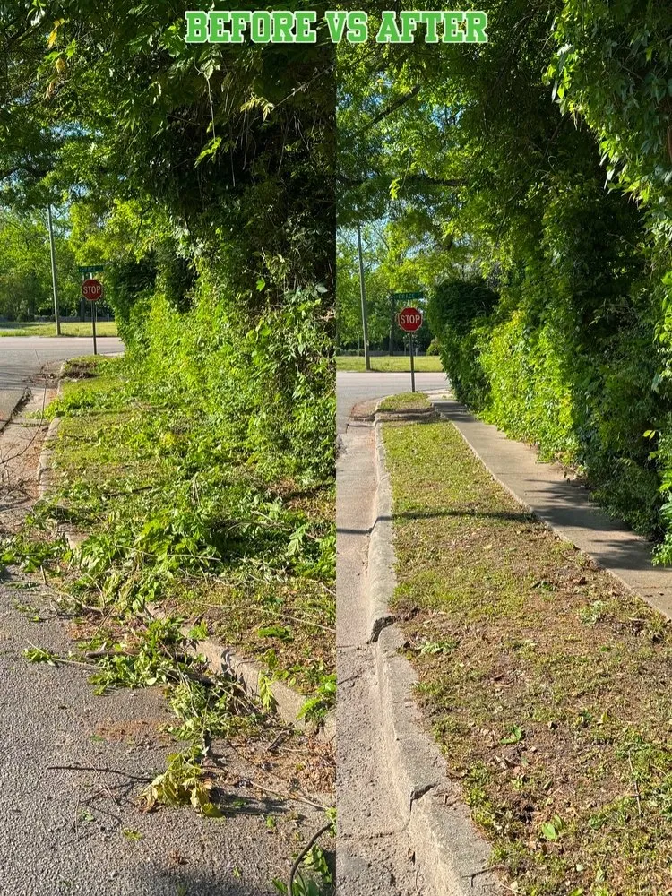 Affordable yard cleanup service near you across Wilson, NC - NC Eco Solutions