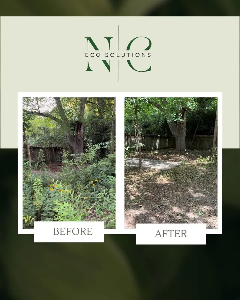 Local lawn care service in Wilson, NC by NC Eco Solutions