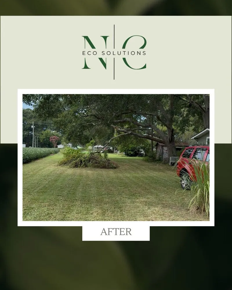 Reliable yard cleanup service experts serving Wilson, NC - NC Eco Solutions