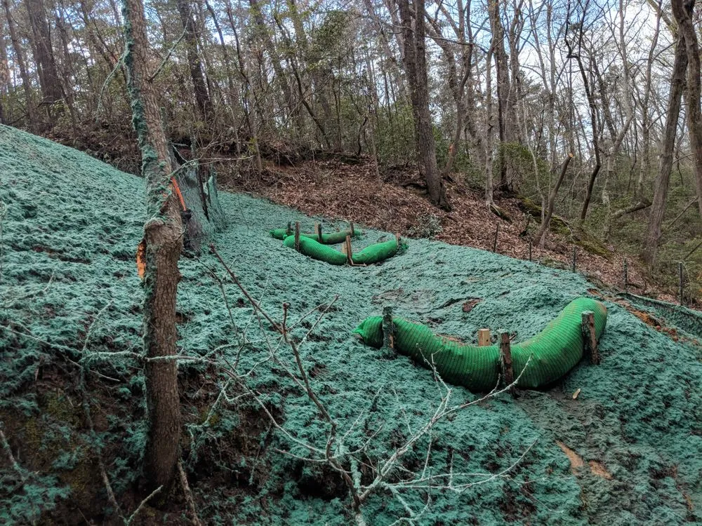 Expert yard cleanup service in Raeford, NC - NC Hydroseeding