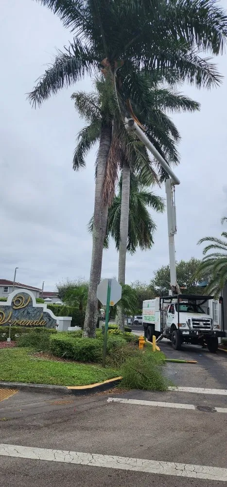 Affordable outdoor landscaping experts serving Miami, FL - NC Landscaping Group