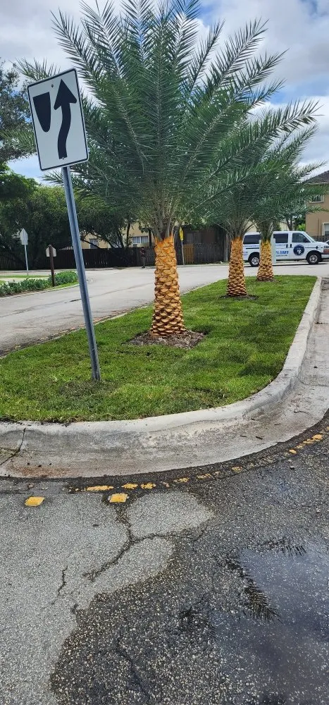 Professional lawn mowing service experts serving Miami, FL - NC Landscaping Group