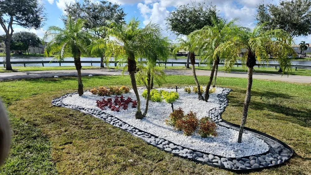 Expert landscape installation in Miami, FL - NC Landscaping Group