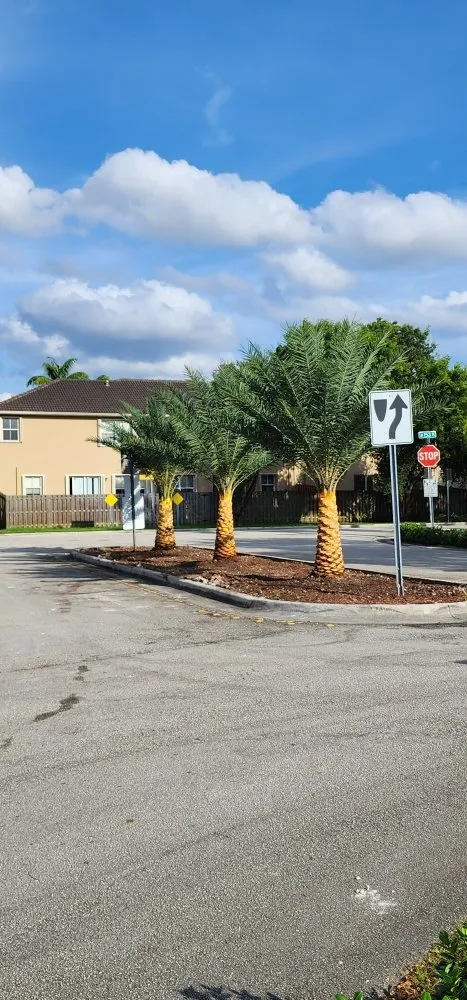 Expert landscape installation experts serving Miami, FL - NC Landscaping Group