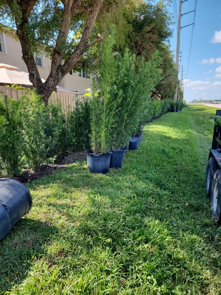 Top-rated residential landscaping in Miami, FL by NC Landscaping Group