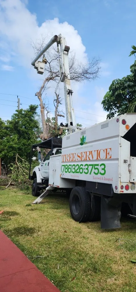 Top-rated landscaping services experts serving Miami, FL - NC Landscaping Group