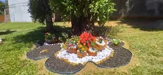 Trusted yard maintenance for year-round maintenance across Port Chester, NY - N&C Landscaping Services