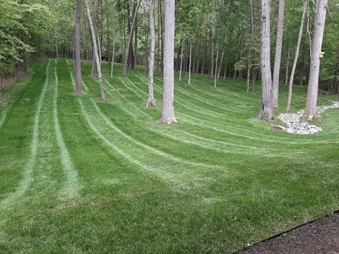 Trusted yard cleanup service in Stafford, VA - N&C Landscaping