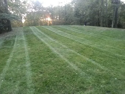 Professional garden landscaping for beautiful yards across Stafford, VA - N&C Landscaping