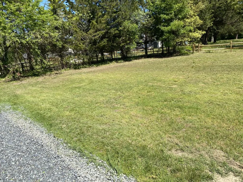 Local lawn mowing service near you in Cape May Court House, NJ by NC Lawn Care