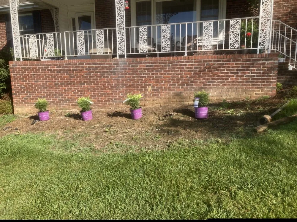 Affordable lawn mowing service experts serving Bristol, TN - N&C Lawn Care Service