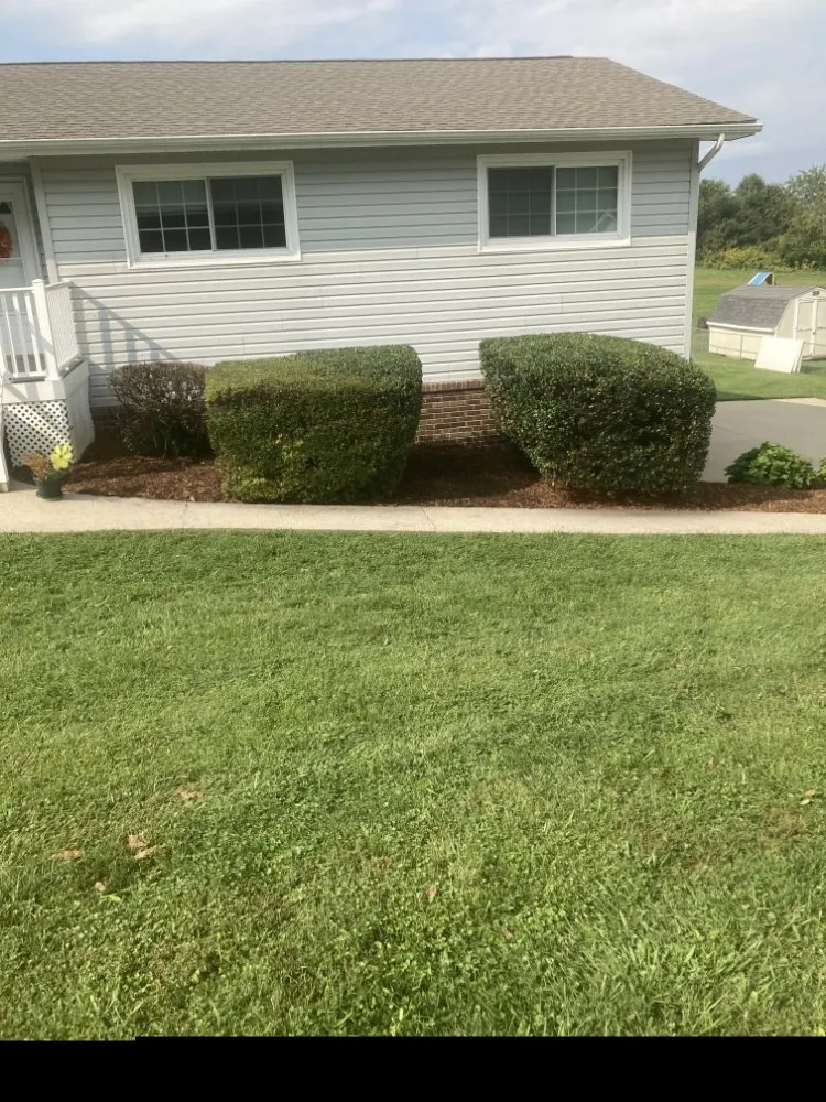 Professional lawn mowing service for residential properties across Bristol, TN - N&C Lawn Care Service
