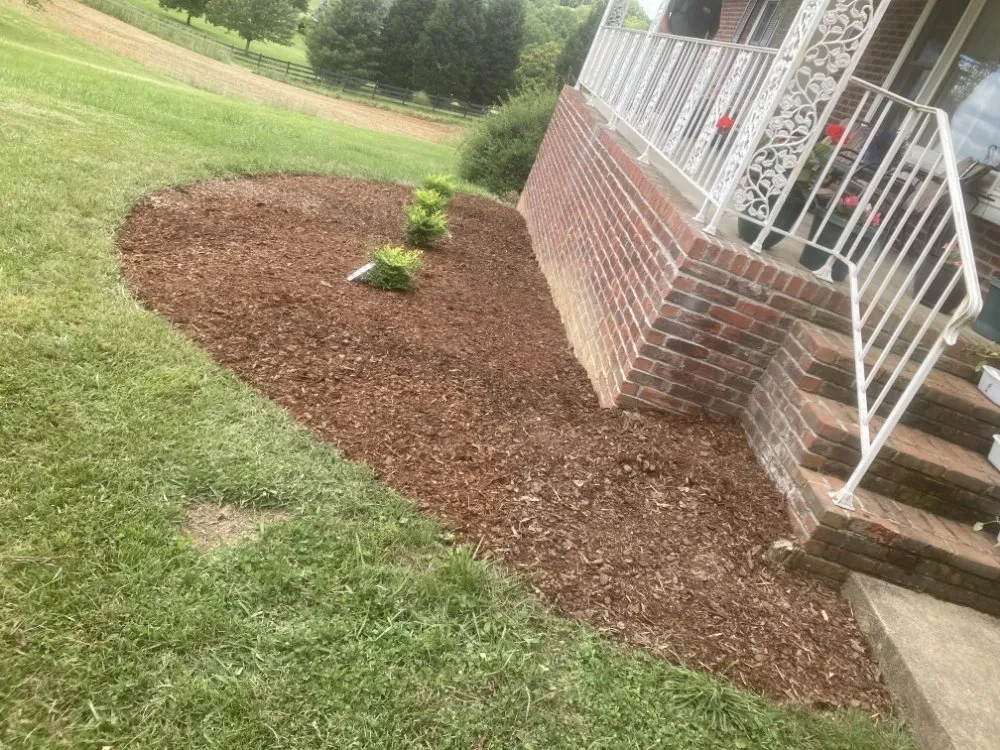 Expert lawn care service near you across Bristol, TN - N&C Lawn Care Service