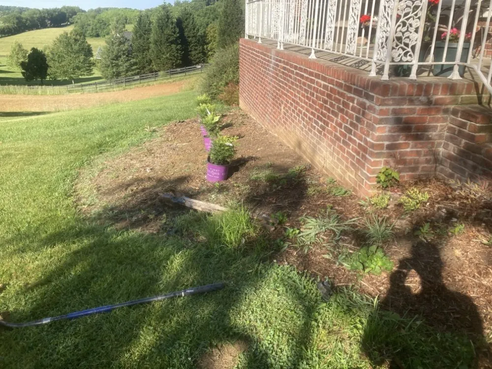 Trusted residential landscaping experts serving Bristol, TN - N&C Lawn Care Service