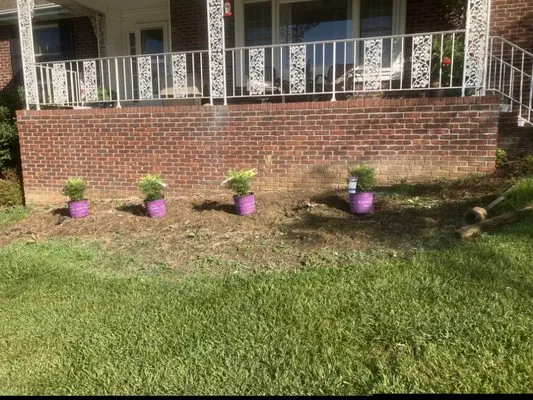 N&C Lawn Care Service