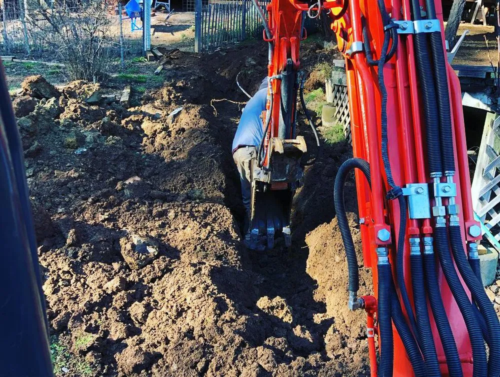 Expert yard cleanup service in Willits, CA - Nc Outdoors