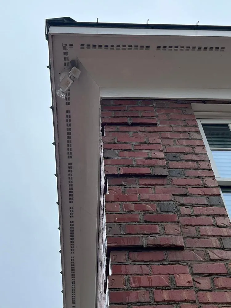 Trusted yard maintenance in Fayetteville, NC by NC Pier Pressure