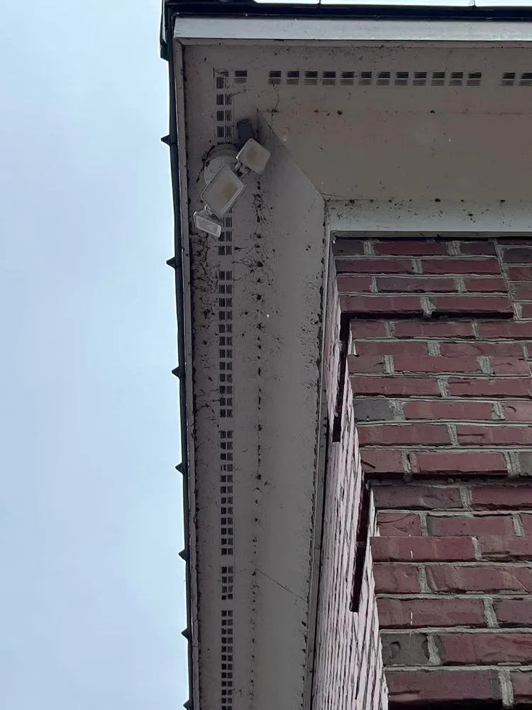 Reliable landscape installation in Fayetteville, NC - NC Pier Pressure