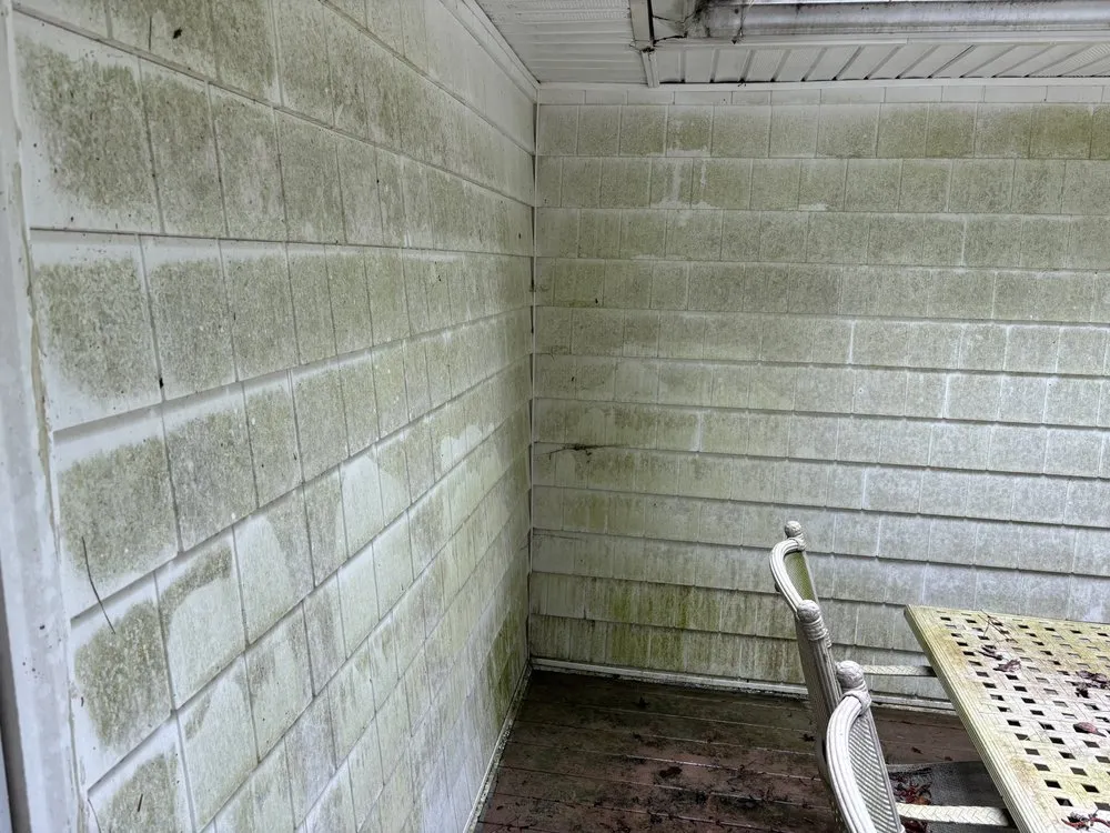 Trusted yard cleanup service for homes in Fayetteville, NC by NC Pier Pressure