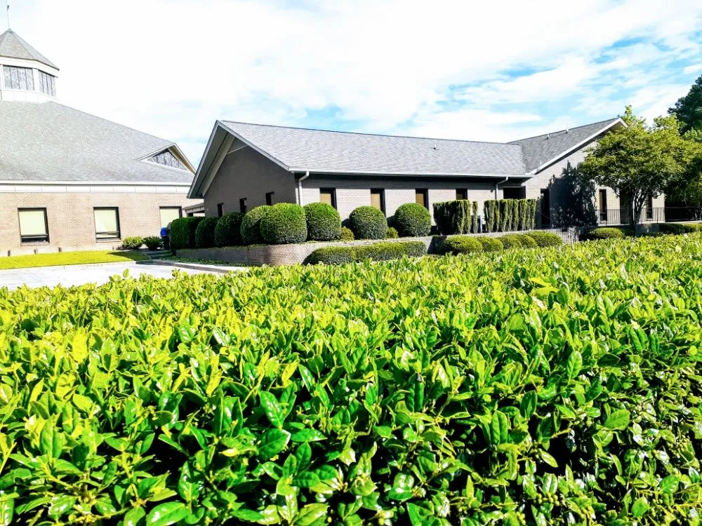 Trusted lawn care service near you in Clayton, NC by Nc professional Lawn care & Landscaping