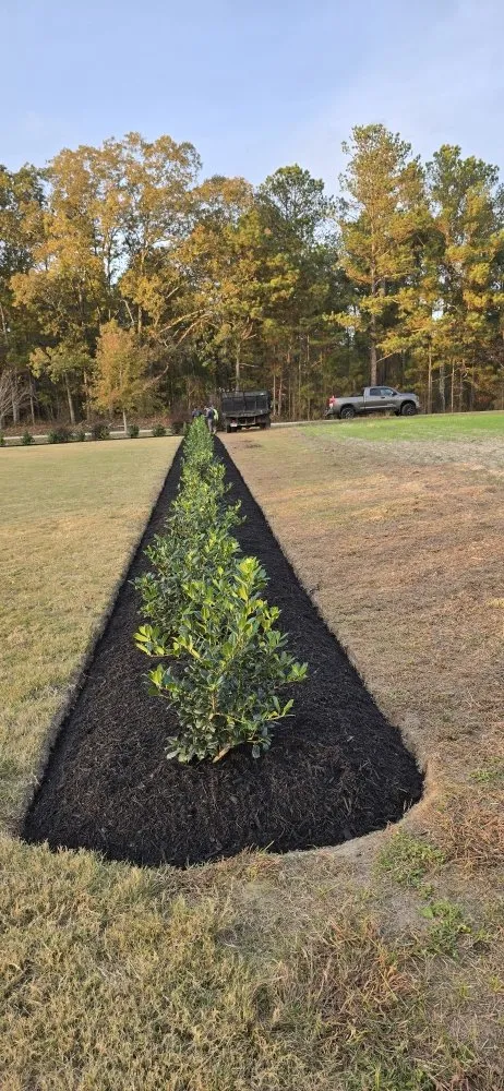 Reliable yard maintenance for beautiful yards in Clayton, NC by Nc professional Lawn care & Landscaping