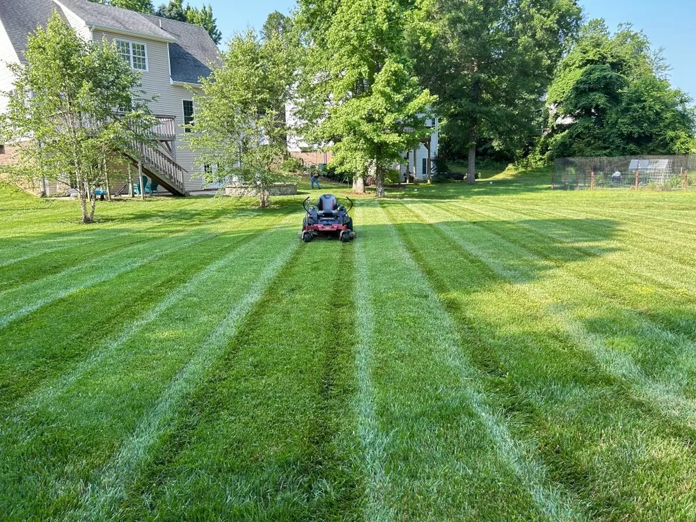Affordable yard maintenance experts serving Burlington, NC - NC Top Landscaping