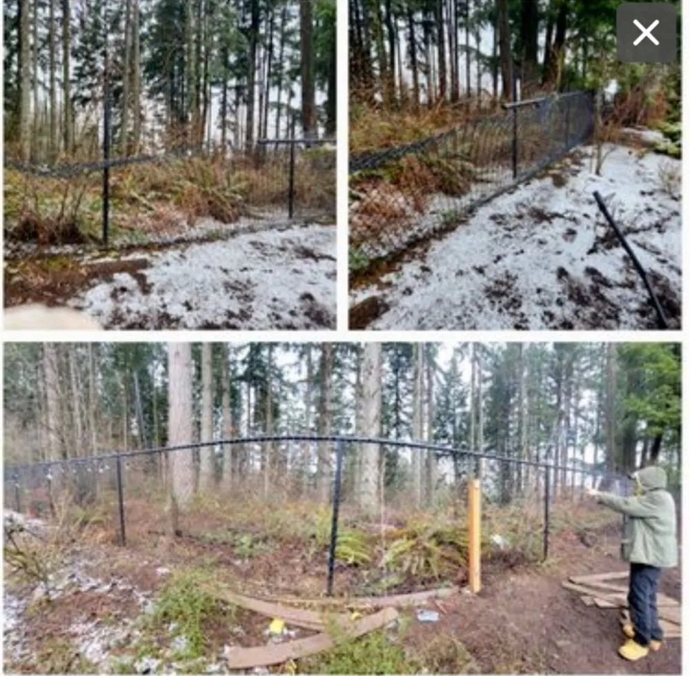 Professional lawn care service in Cornelius, OR - NCA Construction LLC