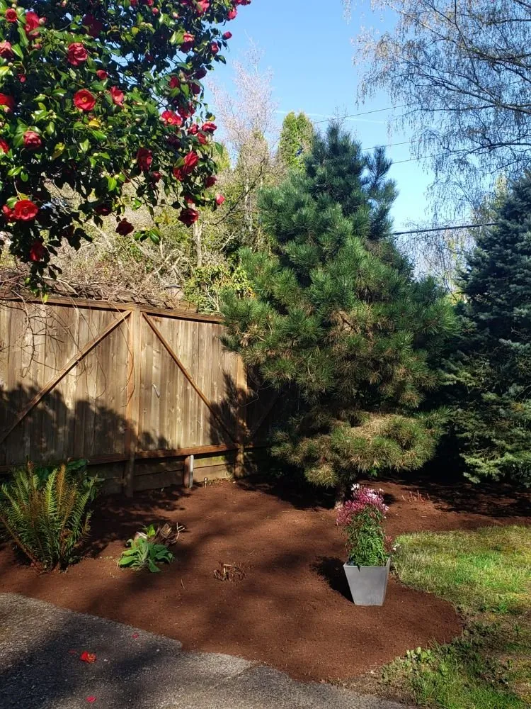 Custom landscape installation experts serving Cornelius, OR - NCA Construction LLC
